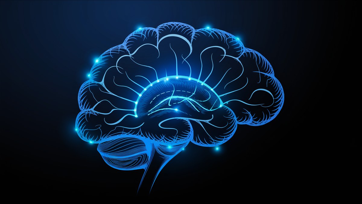 Claude Opus 5 Leads Artificial Intelligence Analysis Index